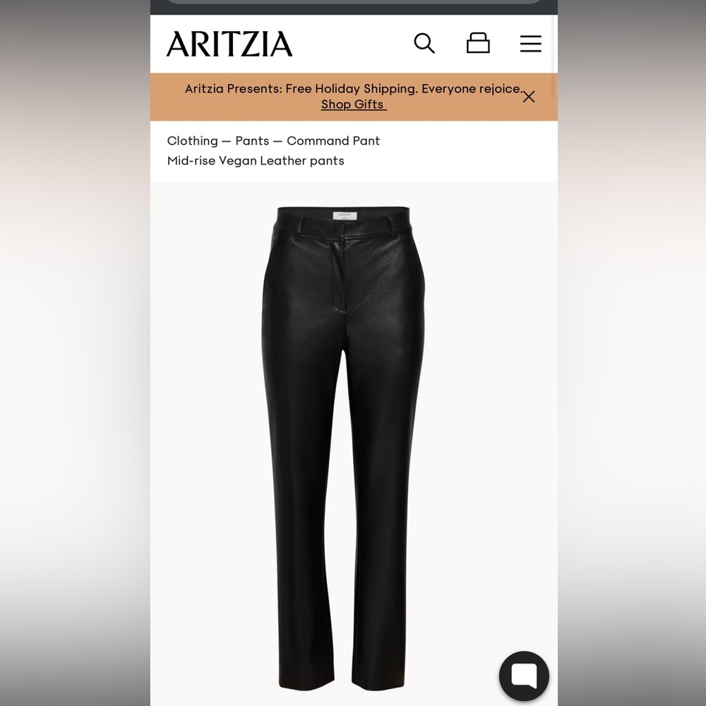 Aritzia Babaton Command Leather Pant